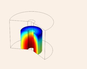 The Simulation of Drug Release in Neural Tissue in COMSOL