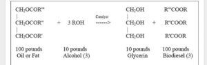 Reactions of Biodiesel Production 